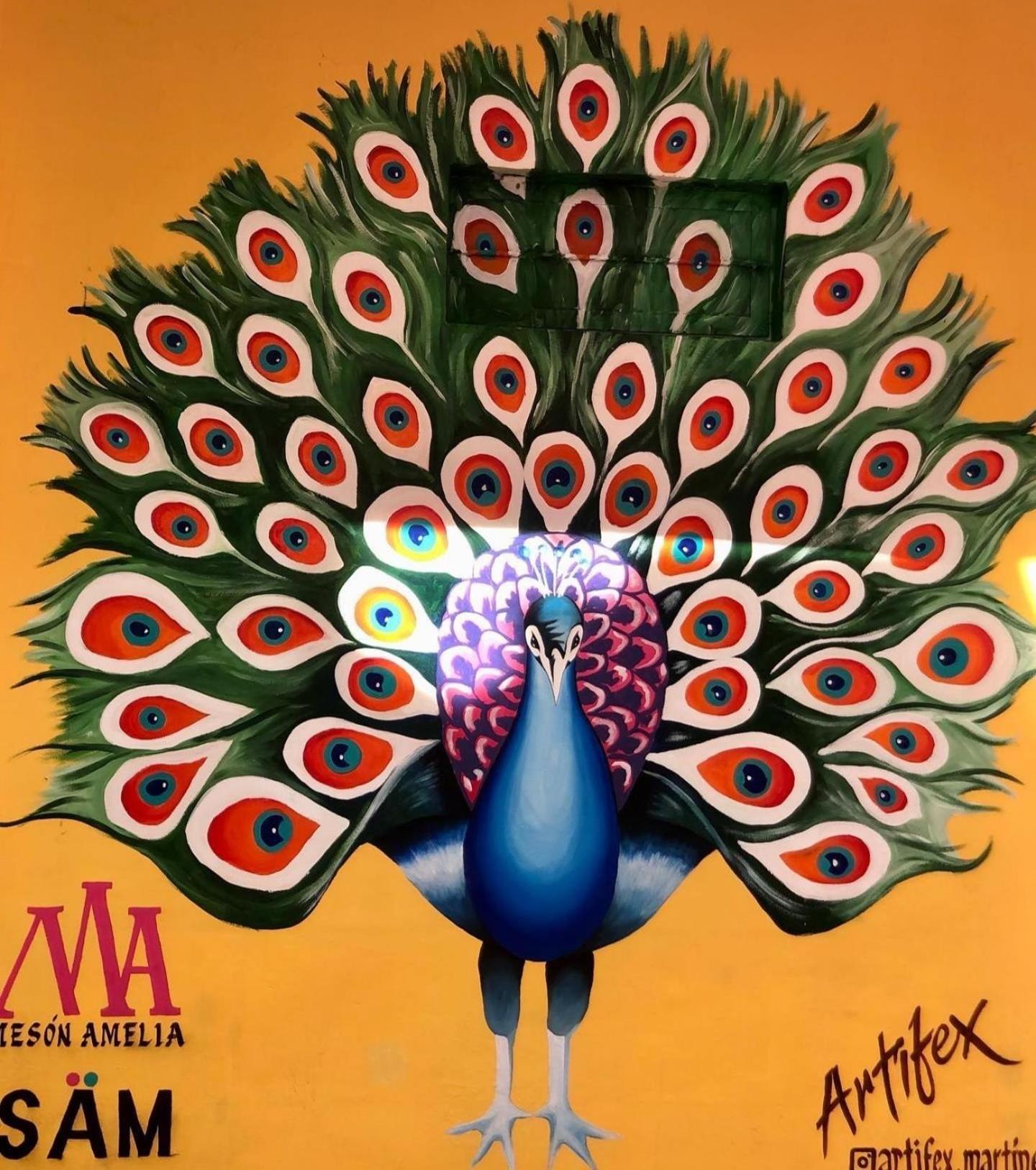 Meson Amelia Hotell San Miguel de Allende Exteriör bild